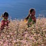 Trải nghiệm tuyệt vời ở Hà Giang